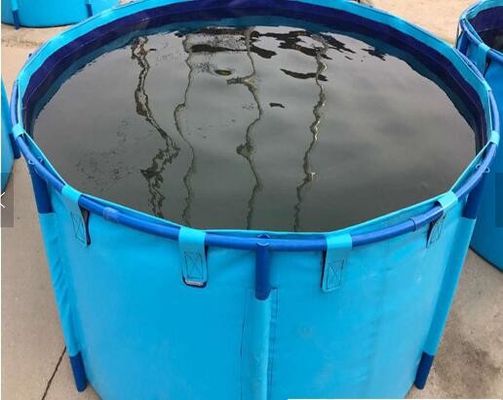 Fischzucht-Aquarium-Wasserbehälter, blauer Zylinder über Grundfisch-Teich-zusammenklappbarem Aquarium