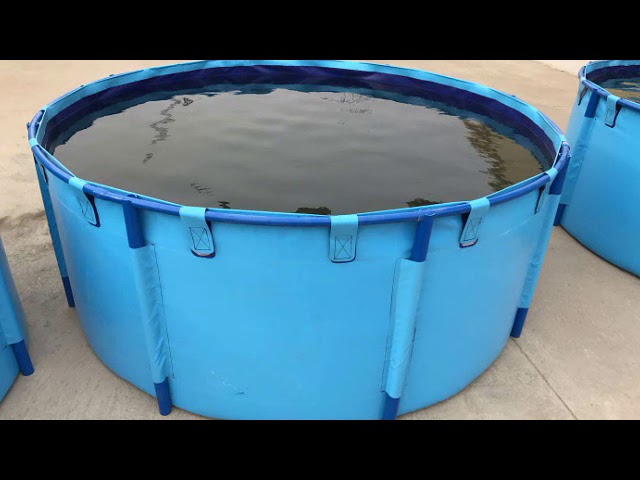 51+ Fisch Zylinder Teich, Ein gartenteich mit fischen und anderen