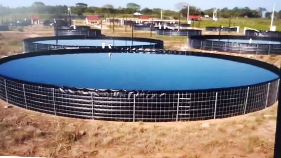 16m Durchmesser 301.440 Liter Klappbare Runde Fischbecken PVC-Tarnellen Außenfischbecken