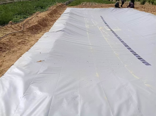 Faltbare Regenwassersammler für landwirtschaftliche Zwecke aus PVC-Tarn