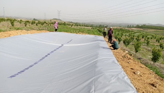 Gewächshaus Regenwasser Sammlung PVC-Plattenwasserspeicher für landwirtschaftliche Bewässerung