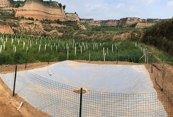 Umweltfreundlicher Regenwassersammler aus PVC-Tarn für die Landwirtschaft