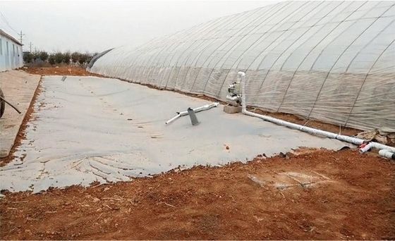 Gewächshaus Regenwasser Sammlung PVC-Plattenwasserspeicher für landwirtschaftliche Bewässerung