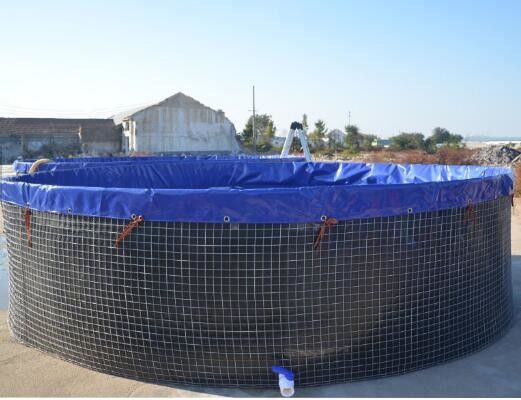 16m Durchmesser 301.440 Liter Klappbare Runde Fischbecken PVC-Tarnellen Außenfischbecken