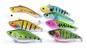 4 Plastikköder 11.50G 6.60cm langschnabeliges Cyprinus-Meer Bass Wild Fishing