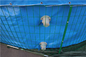 Faltbare 50000 Liter PVC-Planen-Fisch-Teich-mit Stahlmasche