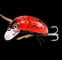 Sich hin- und herbewegender kleiner Elritze-Köder-reizbarer Käfer 8 färbt 3.8cm/4.1g