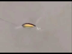 Plastikköder Neue Felsfett Lachsköder Meeresfischerei Hartköder