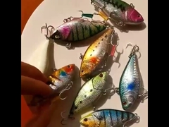 Kunstköder Meeresangeln Laser Bionik Angelköder