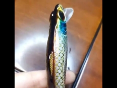 Kunstköder Angeln auf See Weitwurf Hartköder