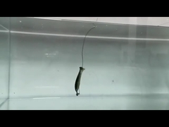 PVC Köder aus Weichplastik, Silikon-Köder, künstlicher Weichköder, Angelköder