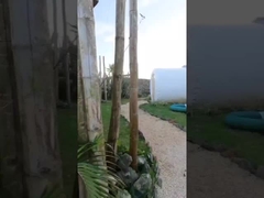 Hotelzimmer Außenhaus aufblasbares Blaszelt